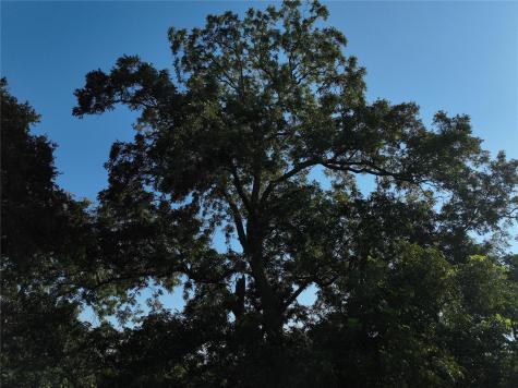 Tbd Lot 2 Randermann Road Brenham TX 77833
