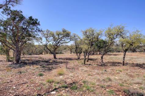 2803 Zenner Ahrens Road Fredericksburg TX 78624