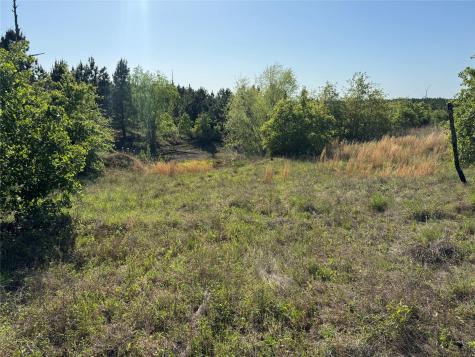 538 Cottletown Road Smithville TX 78957