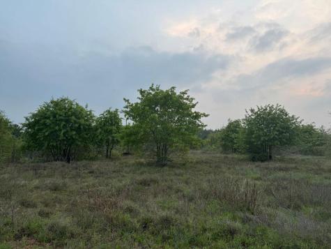 538 Cottletown Road Smithville TX 78957