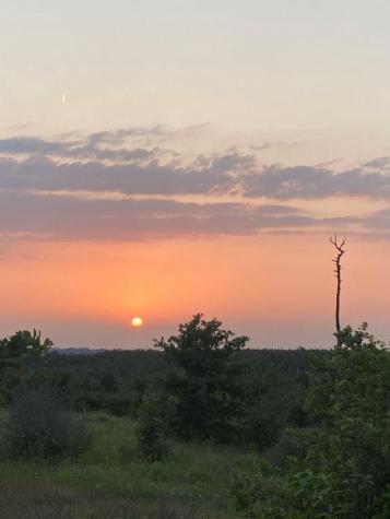538 Cottletown Road Smithville TX 78957