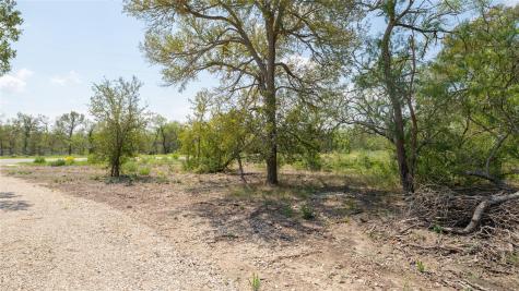 160 Brinley Mae Way Lockhart TX 78644