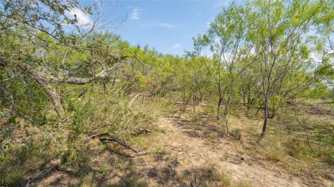 160 Brinley Mae Way Lockhart TX 78644