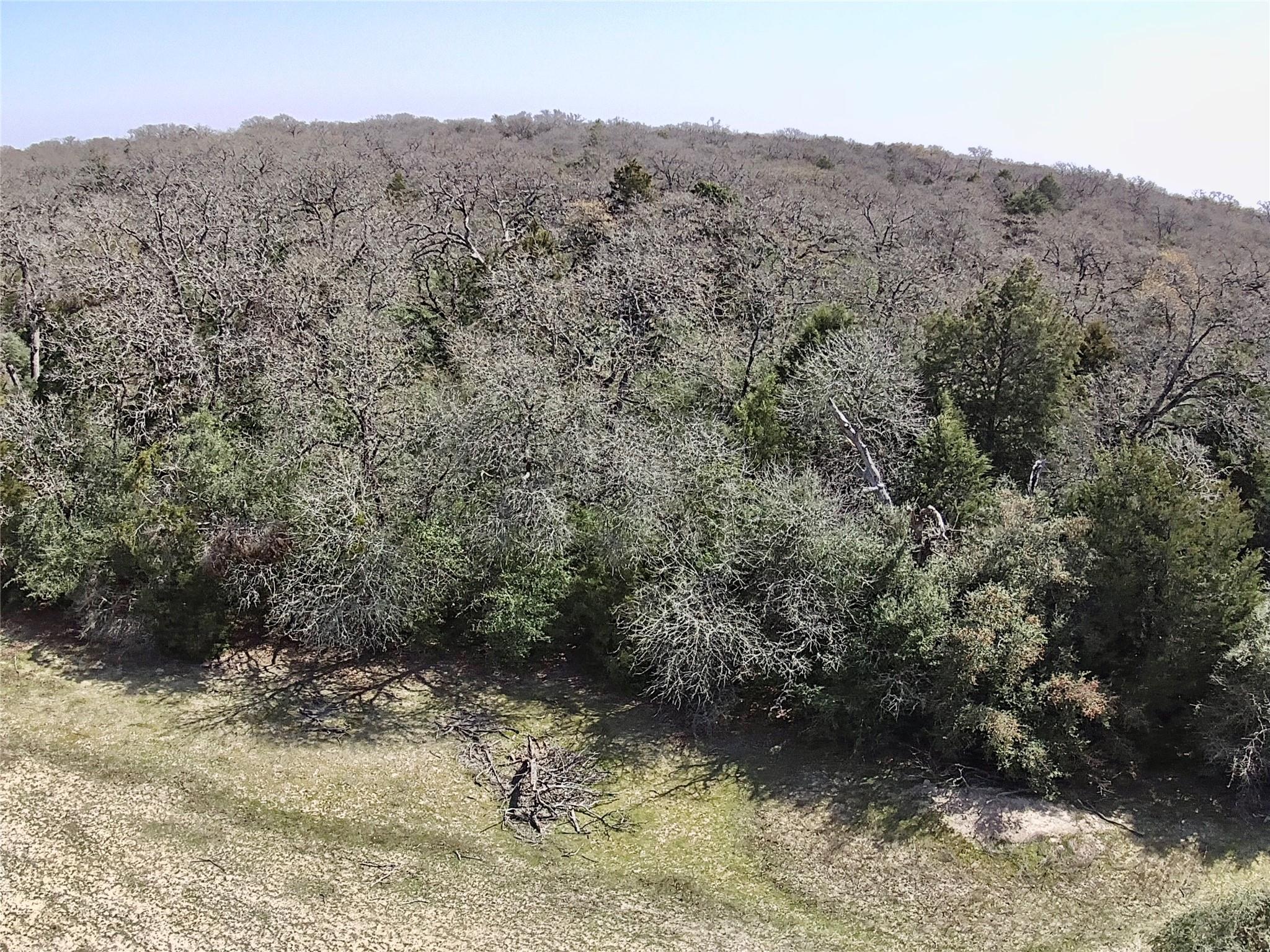 1218 Private Road 3063 Lexington TX 78947
