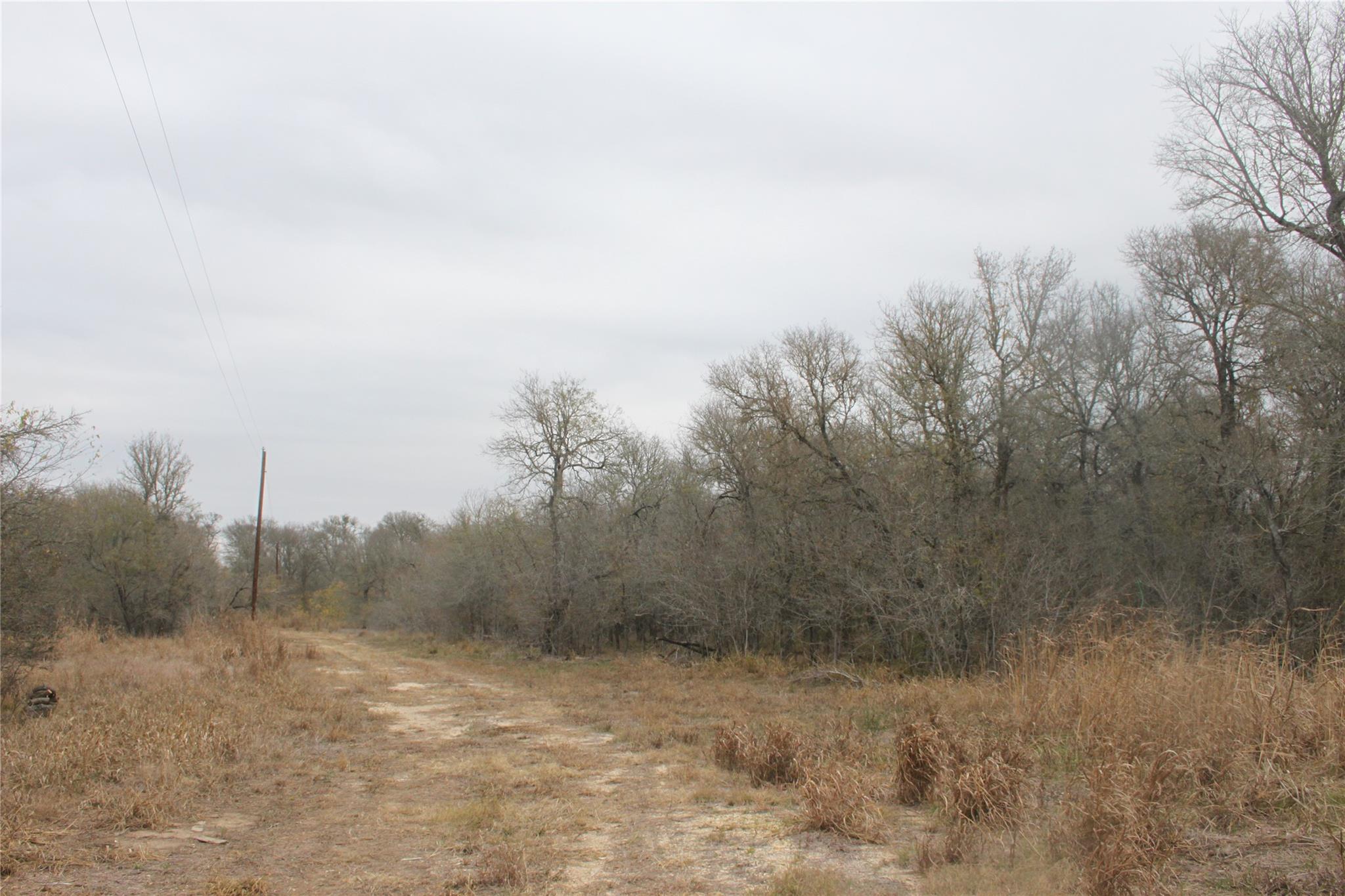 3816 Fm 1854 Dale TX 78616