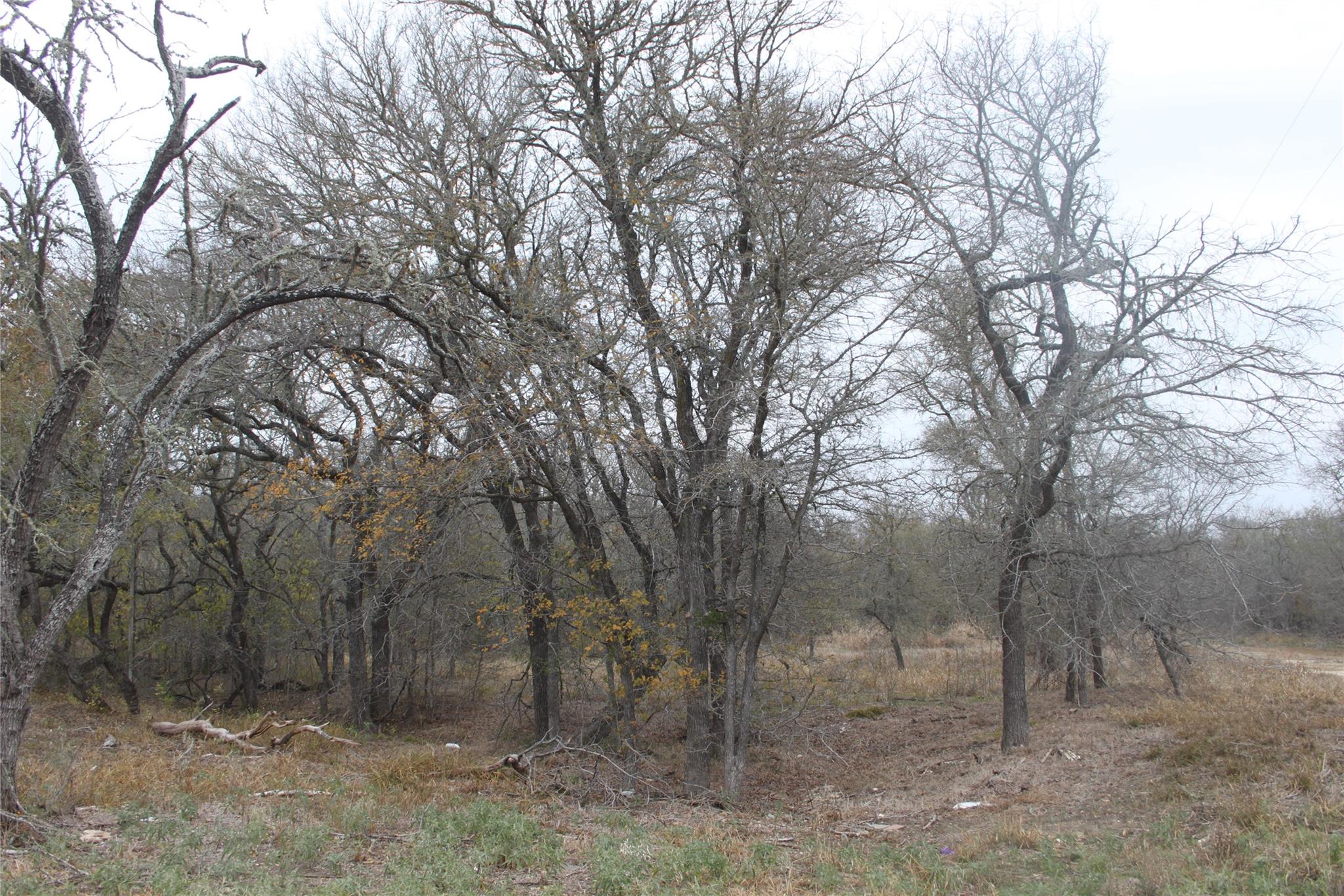 3816 Fm 1854 Dale TX 78616