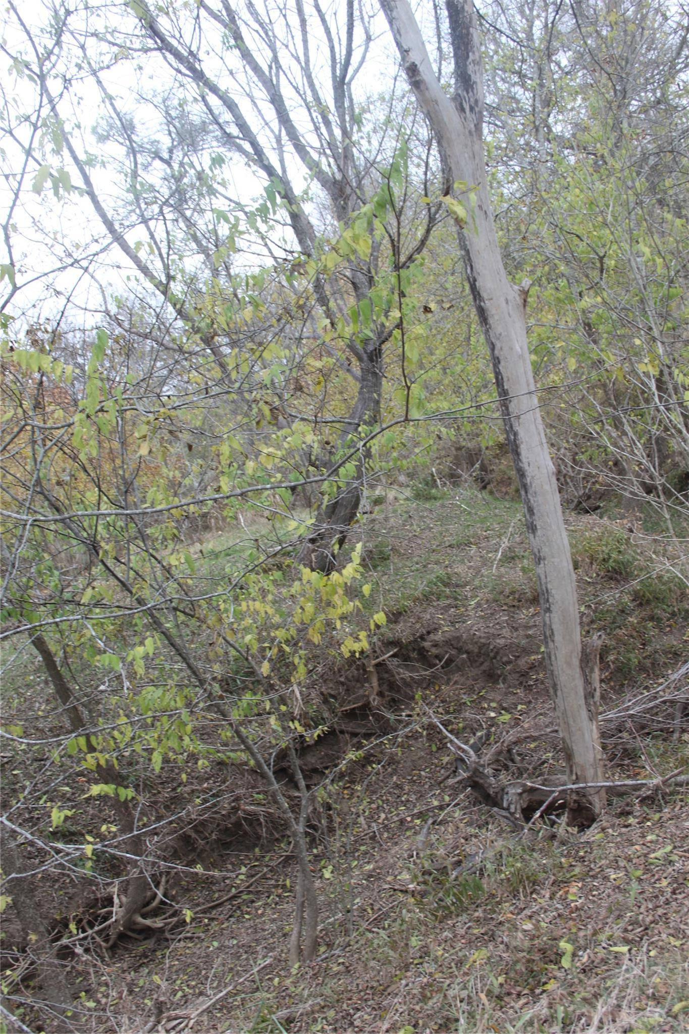 3816 Fm 1854 Dale TX 78616