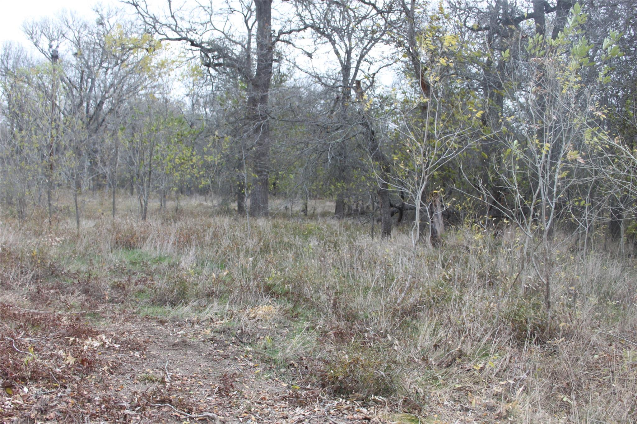 3816 Fm 1854 Dale TX 78616