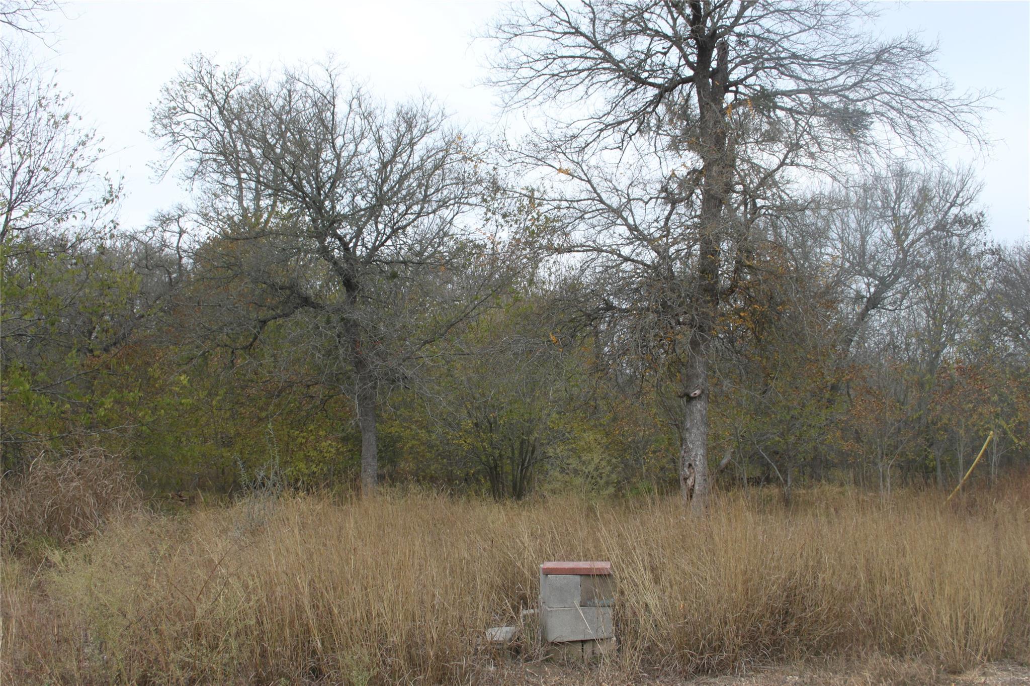 3816 Fm 1854 Dale TX 78616