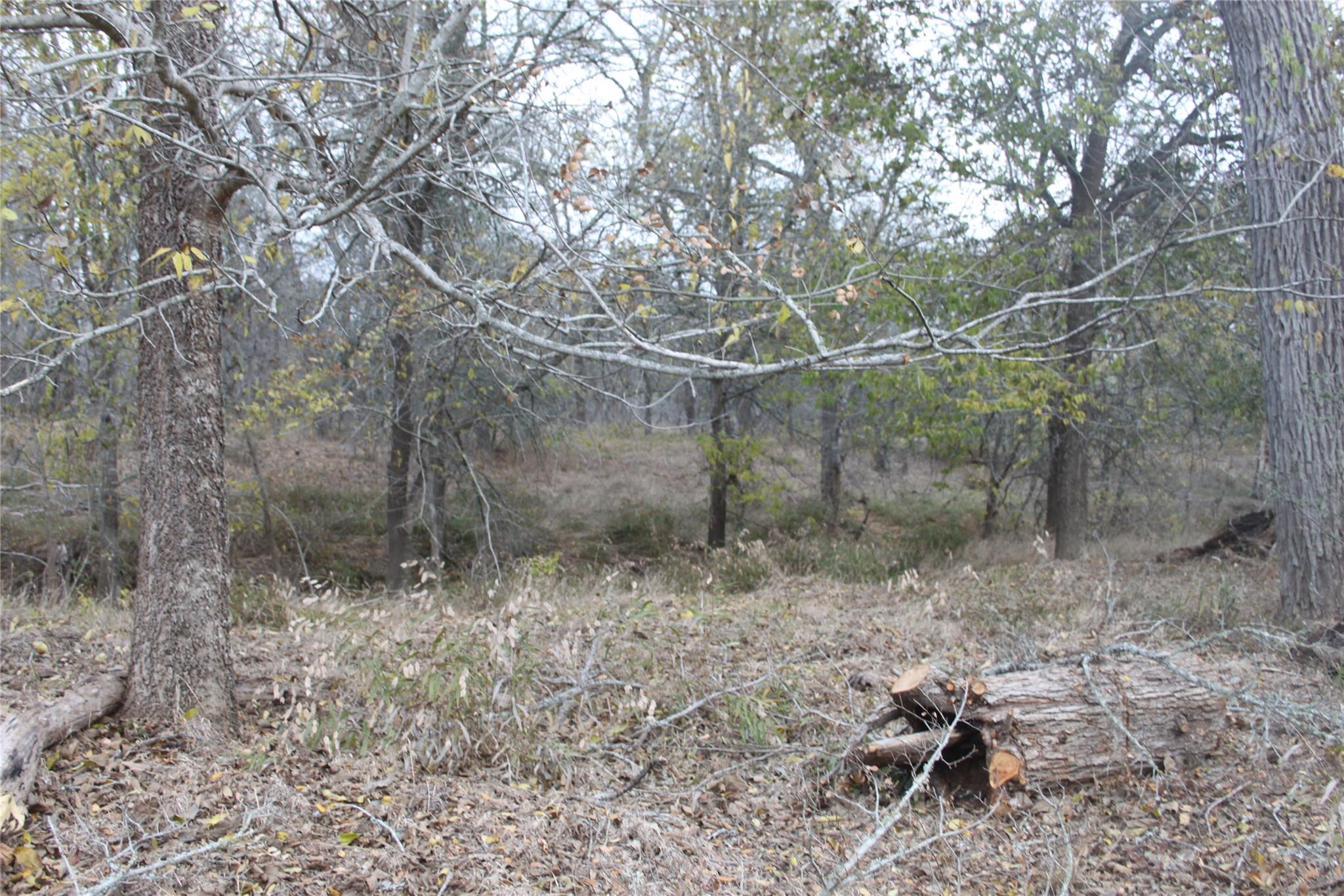 3816 Fm 1854 Dale TX 78616