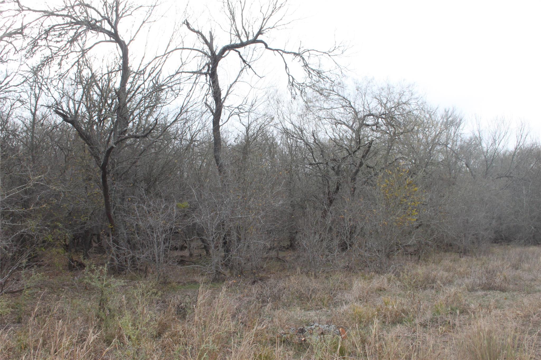 3816 Fm 1854 Dale TX 78616