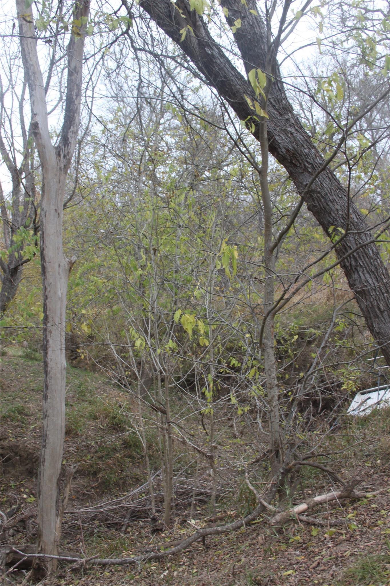 3816 Fm 1854 Dale TX 78616