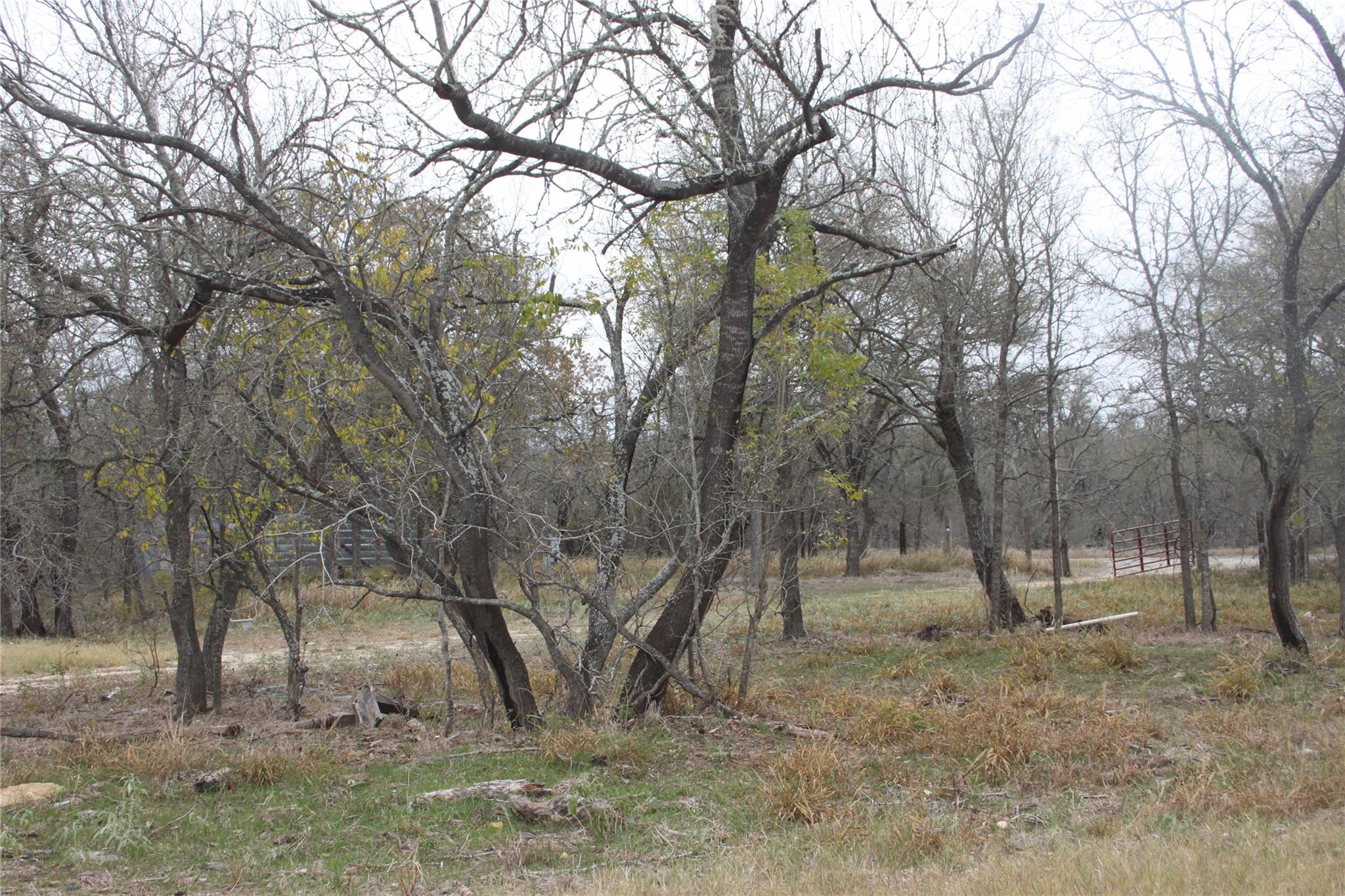 3816 Fm 1854 Dale TX 78616
