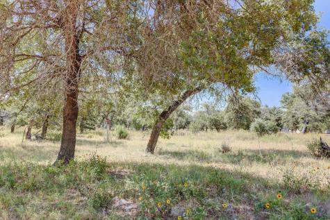 2125 Polly Lane La Vernia TX 78121