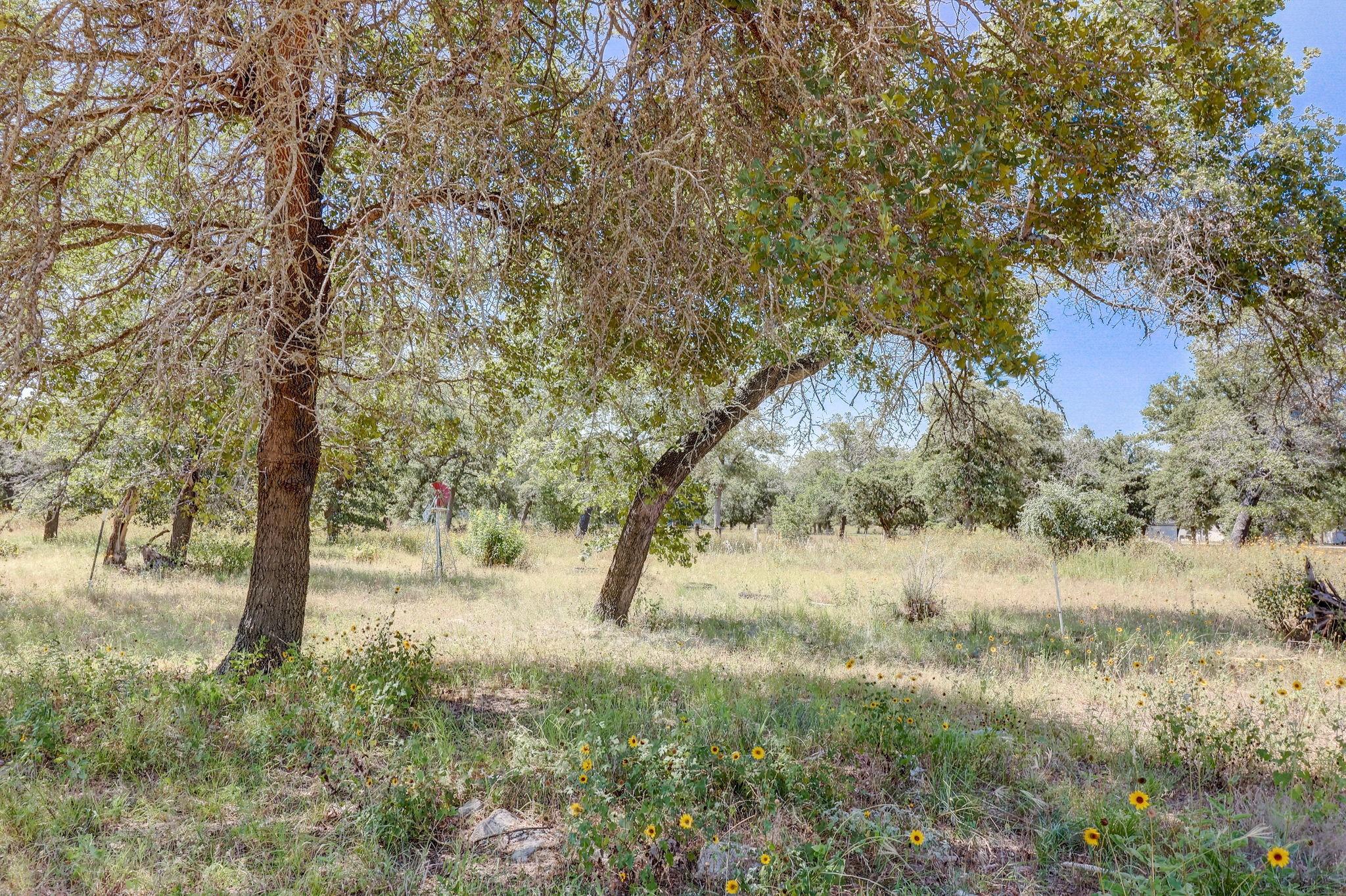 2125 Polly Lane La Vernia TX 78121