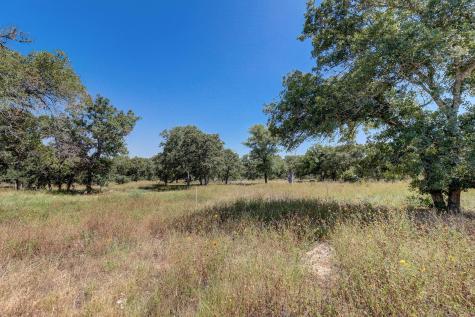 2125 Polly Lane La Vernia TX 78121