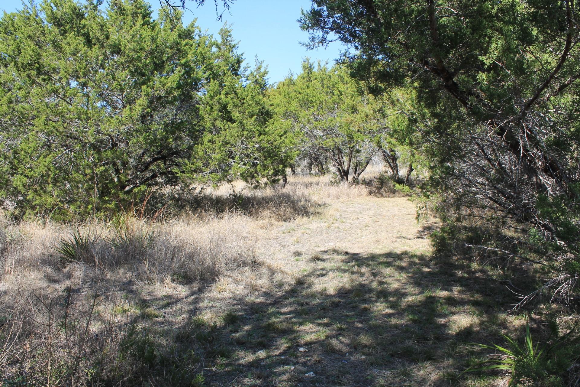 24604 Long Hollow Trail Leander TX 78641