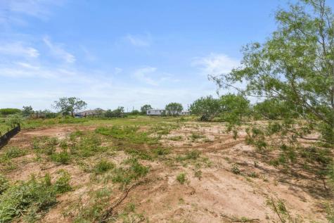 305 Blue Quail Street Dale TX 78616