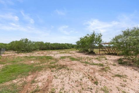 305 Blue Quail Street Dale TX 78616