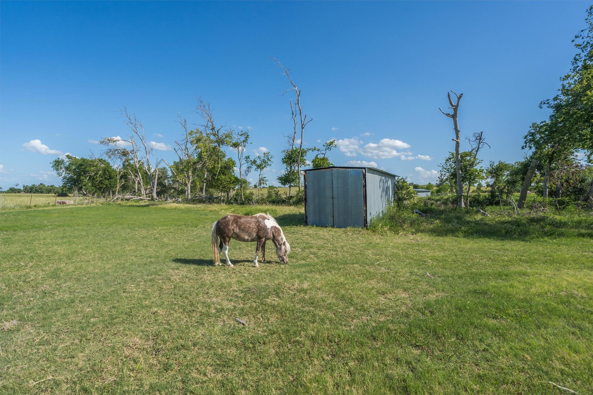3007 County Road 303 Jarrell TX 76537