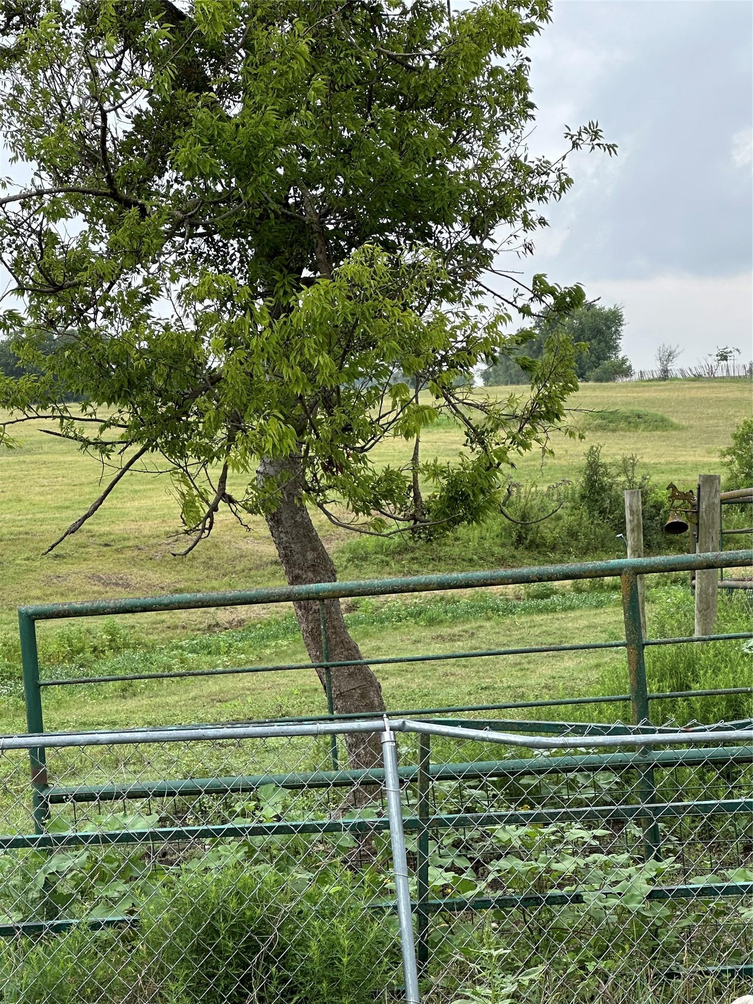 3007 County Road 303 Jarrell TX 76537