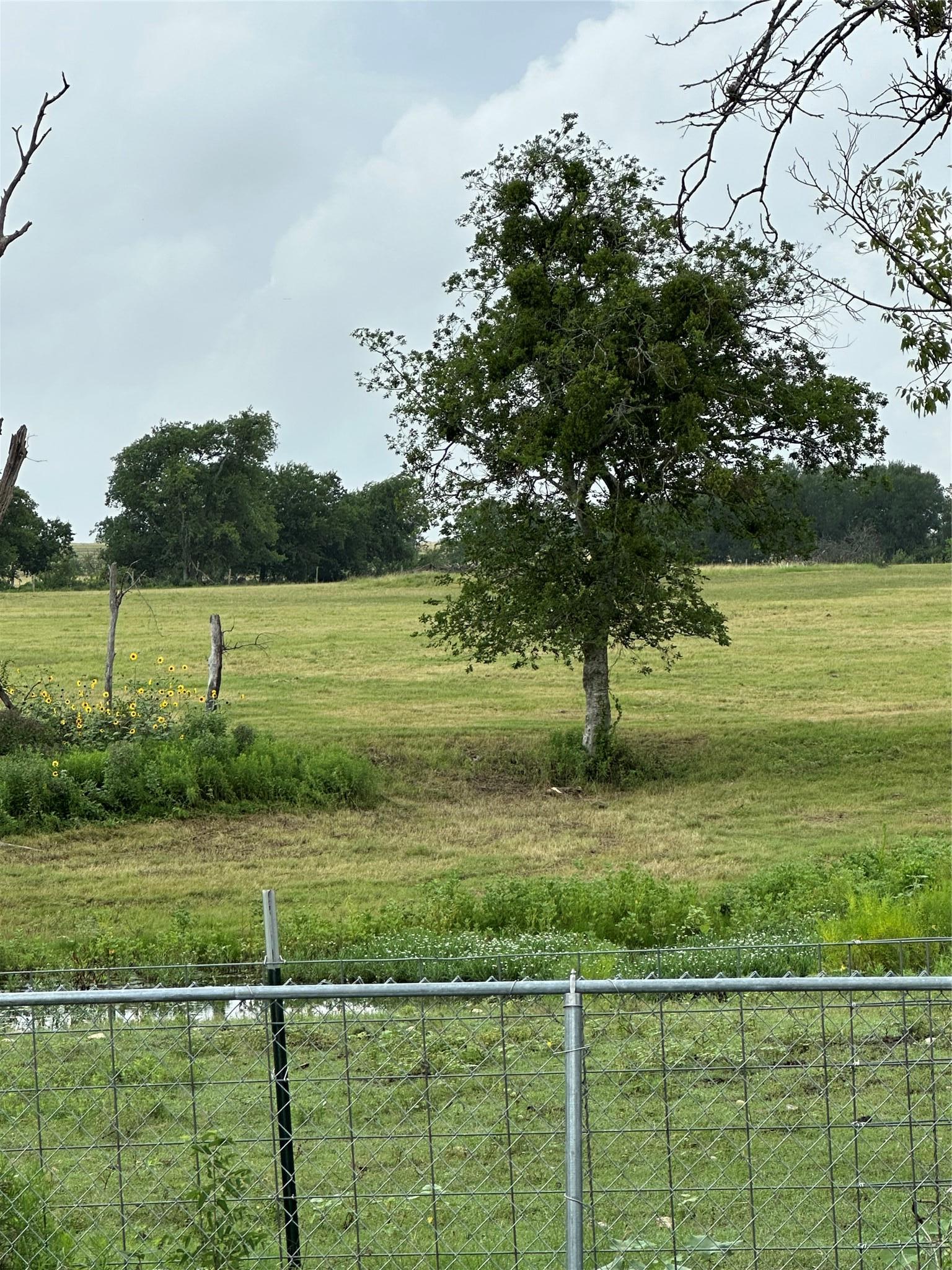 3007 County Road 303 Jarrell TX 76537