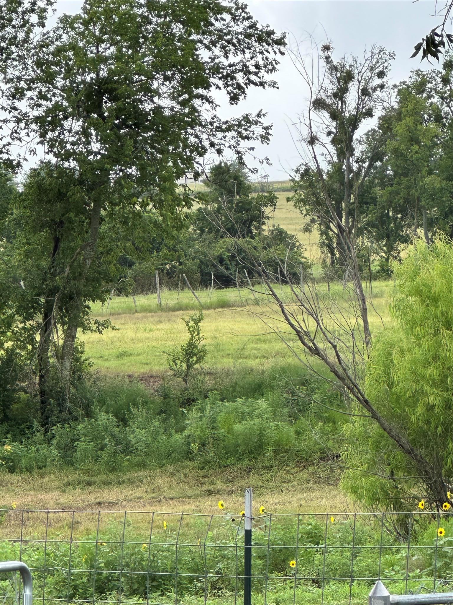3007 County Road 303 Jarrell TX 76537