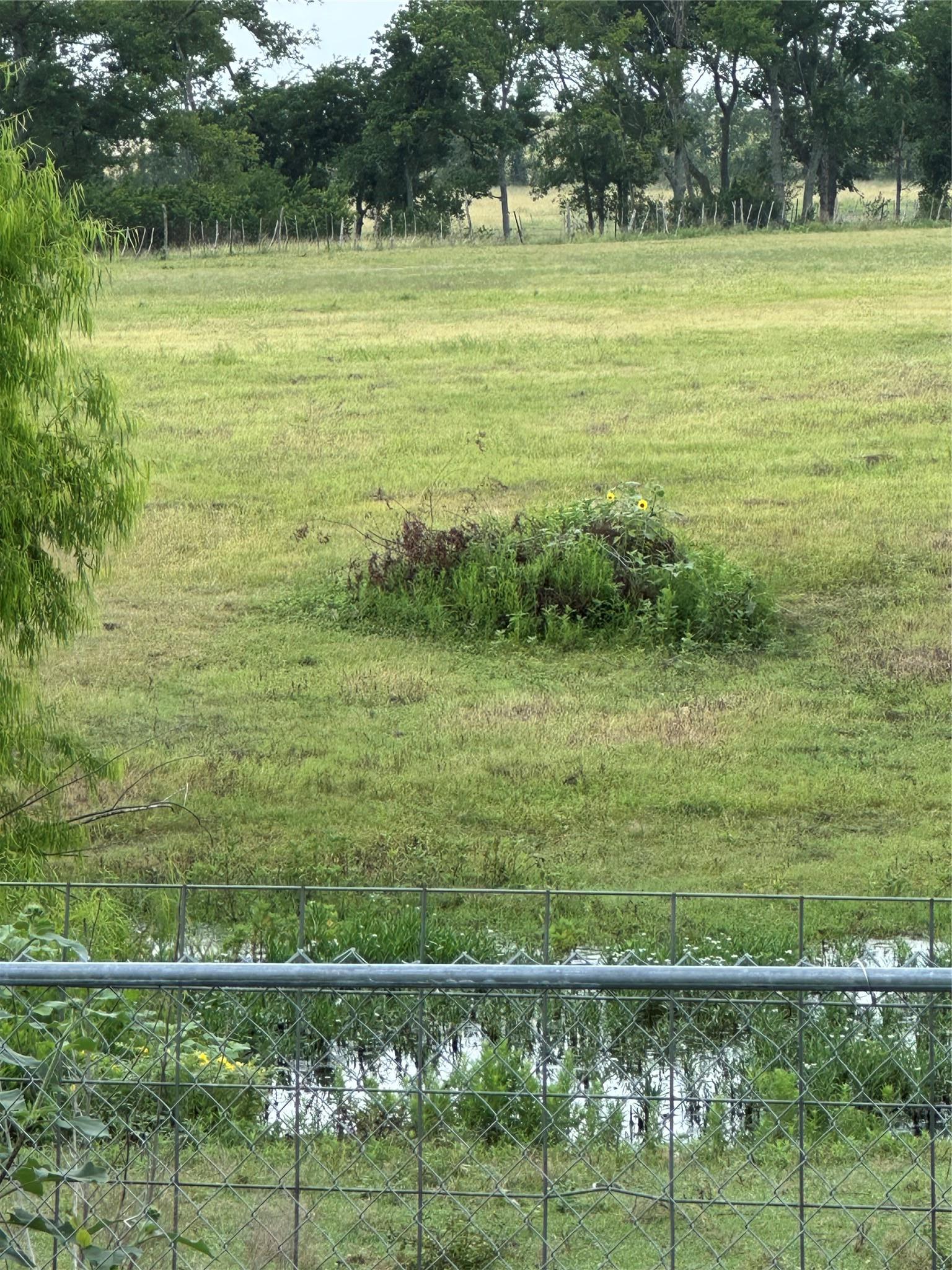 3007 County Road 303 Jarrell TX 76537