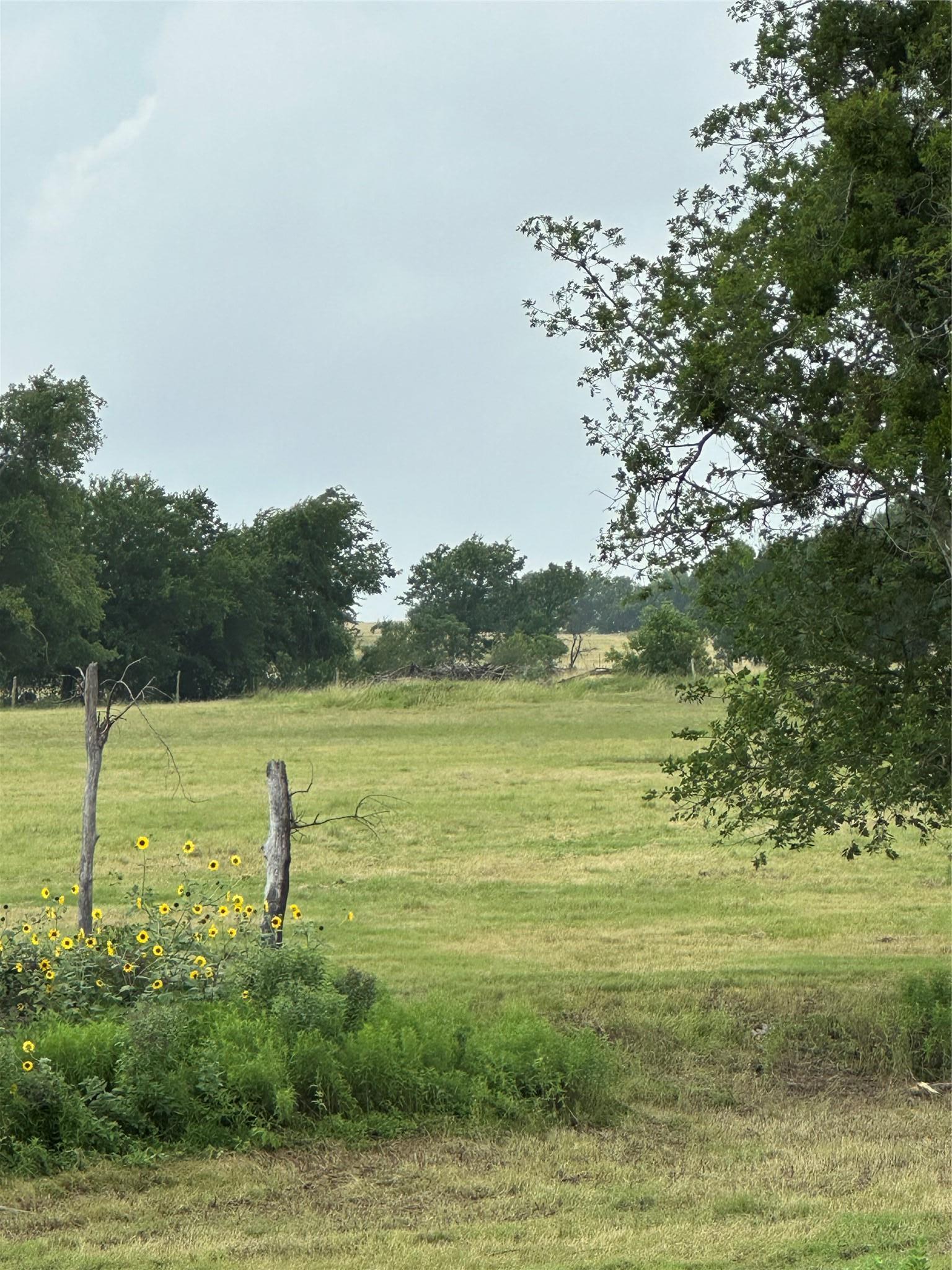 3007 County Road 303 Jarrell TX 76537