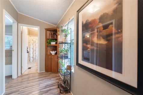 351 Lonesome Trail Driftwood TX 78619