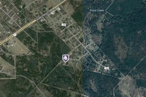 151 Palamino Court Paige TX 78659