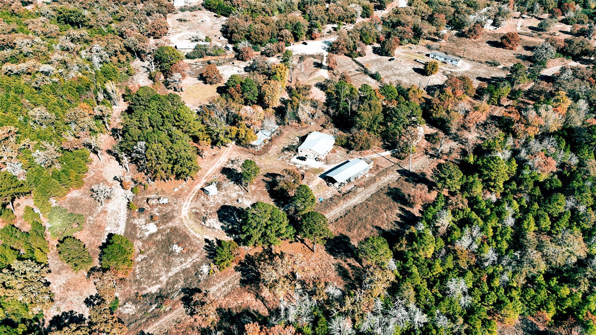 151 Palamino Court Paige TX 78659