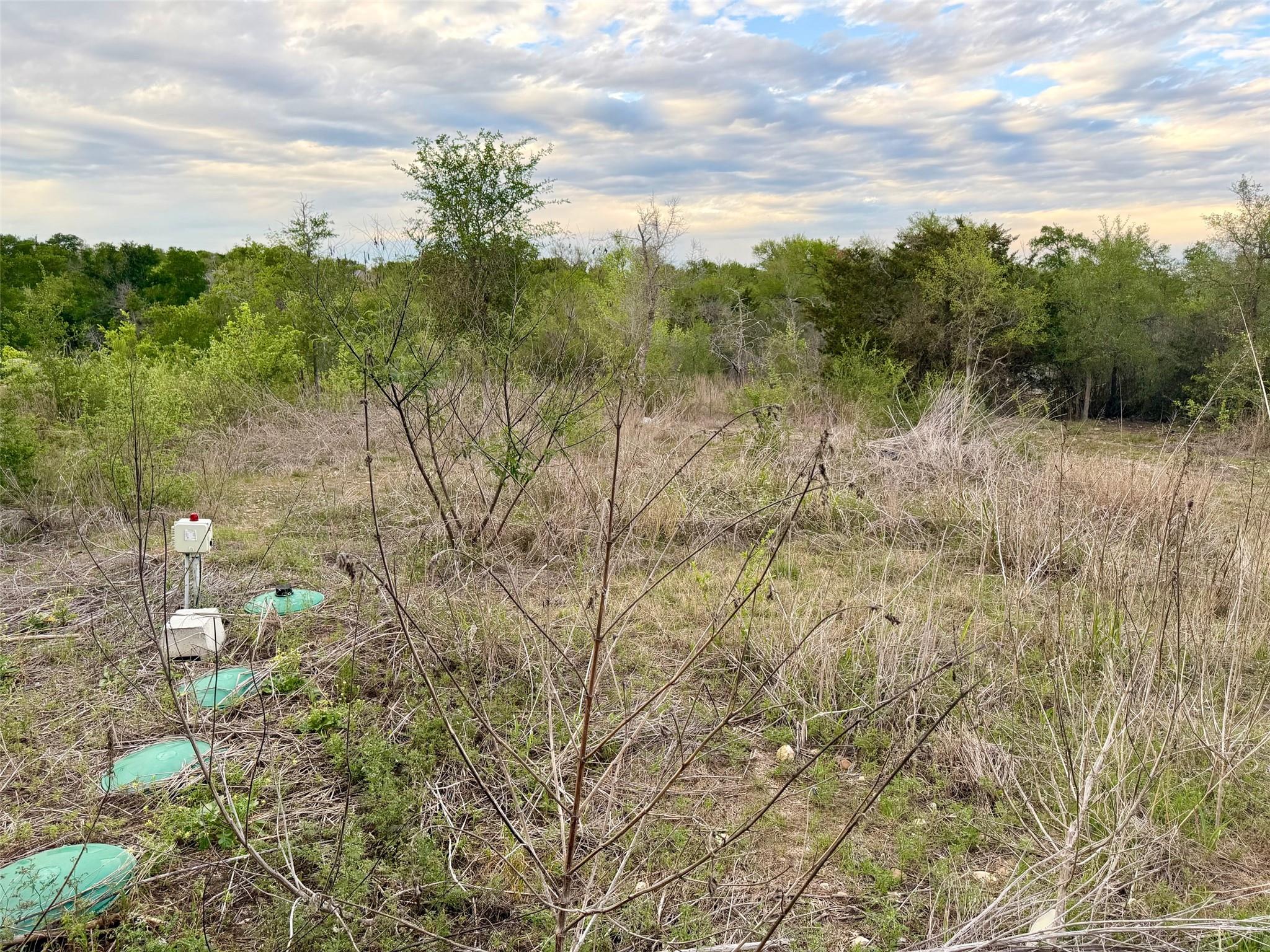 309 Oak Arbor Trail Del Valle TX 78617