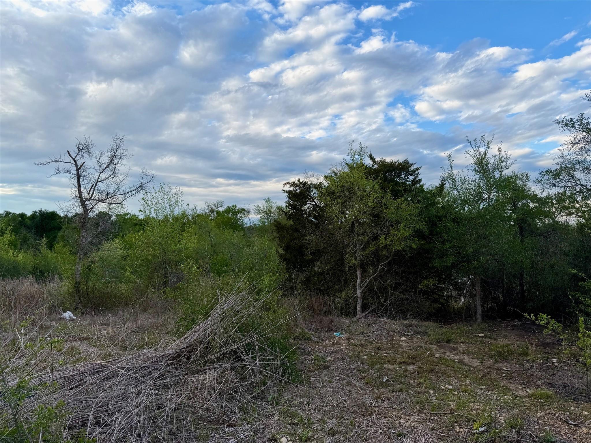 309 Oak Arbor Trail Del Valle TX 78617