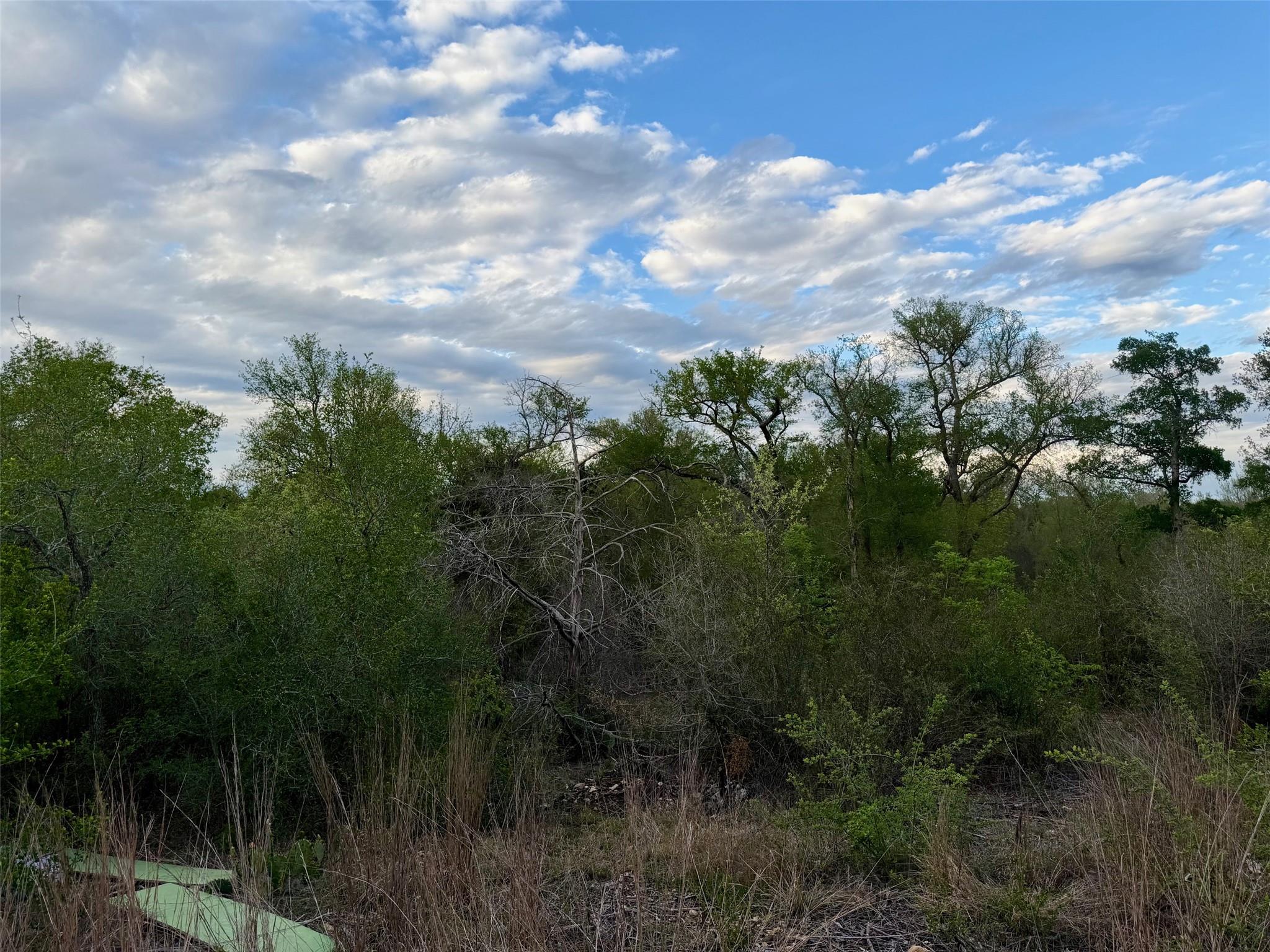 309 Oak Arbor Trail Del Valle TX 78617