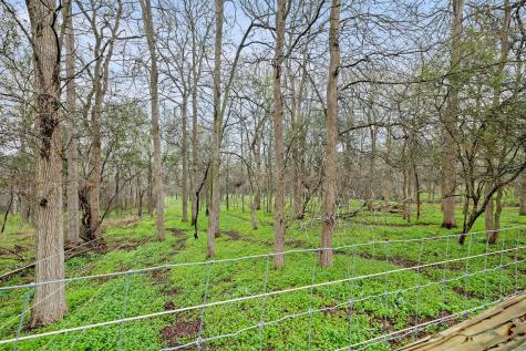175 Fawn Ridge Road Cedar Creek TX 78612