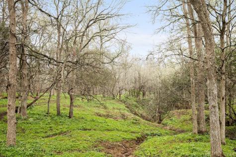 175 Fawn Ridge Road Cedar Creek TX 78612