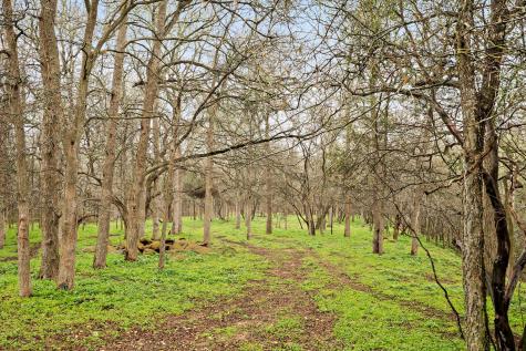 175 Fawn Ridge Road Cedar Creek TX 78612