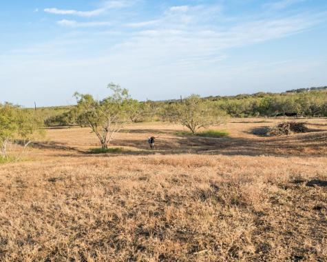 1096 County Road 447 Waelder TX 78959