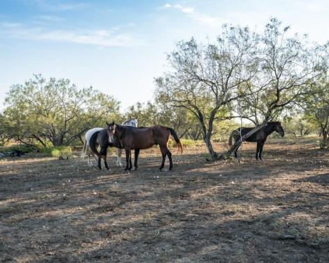 1096 County Road 447 Waelder TX 78959