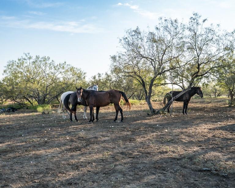 1096 County Road 447 Waelder TX 78959