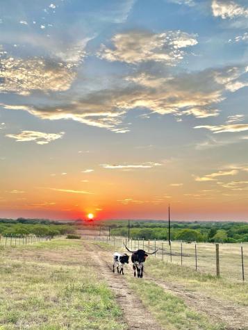 1096 County Road 447 Waelder TX 78959