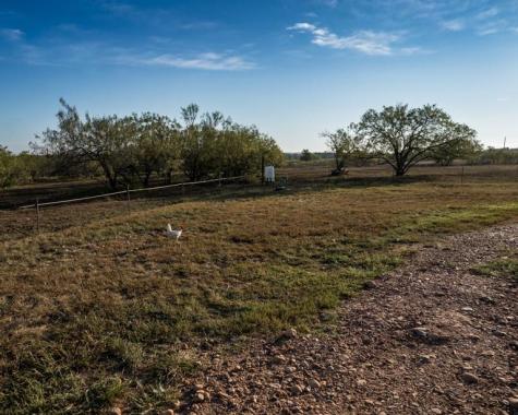 1096 County Road 447 Waelder TX 78959