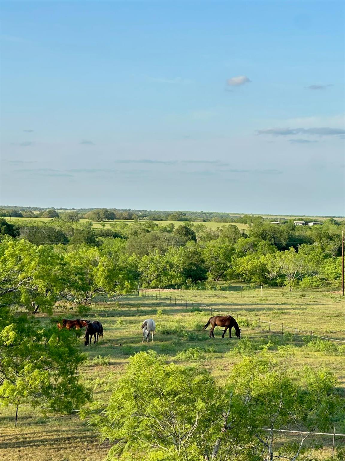 1096 County Road 447 Waelder TX 78959