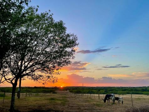 1096 County Road 447 Waelder TX 78959