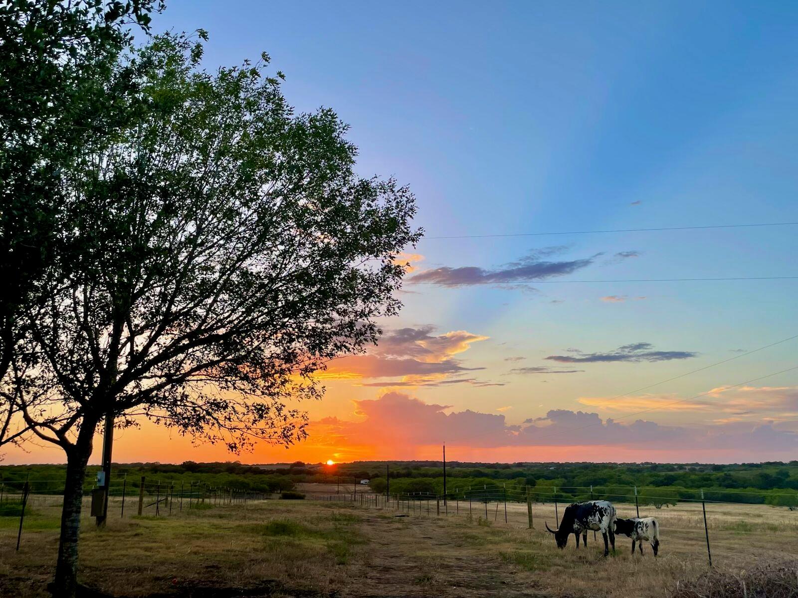 1096 County Road 447 Waelder TX 78959