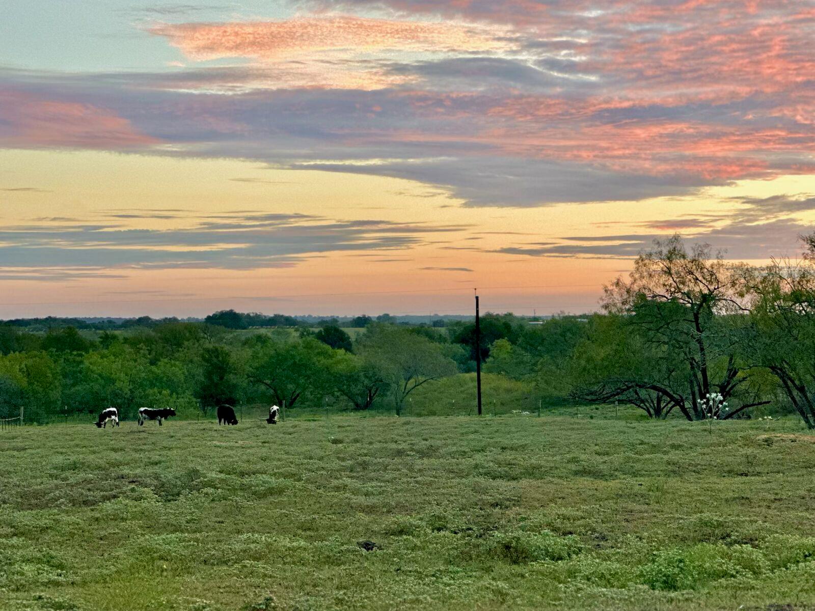 1096 County Road 447 Waelder TX 78959