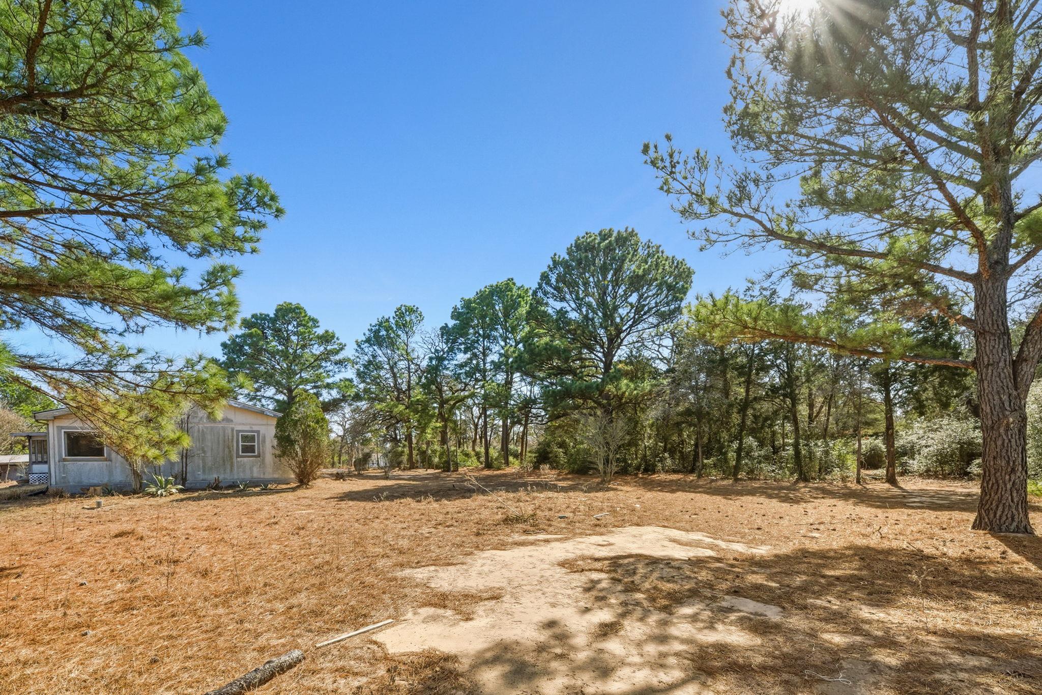 171 Mustang Drive Paige TX 78659