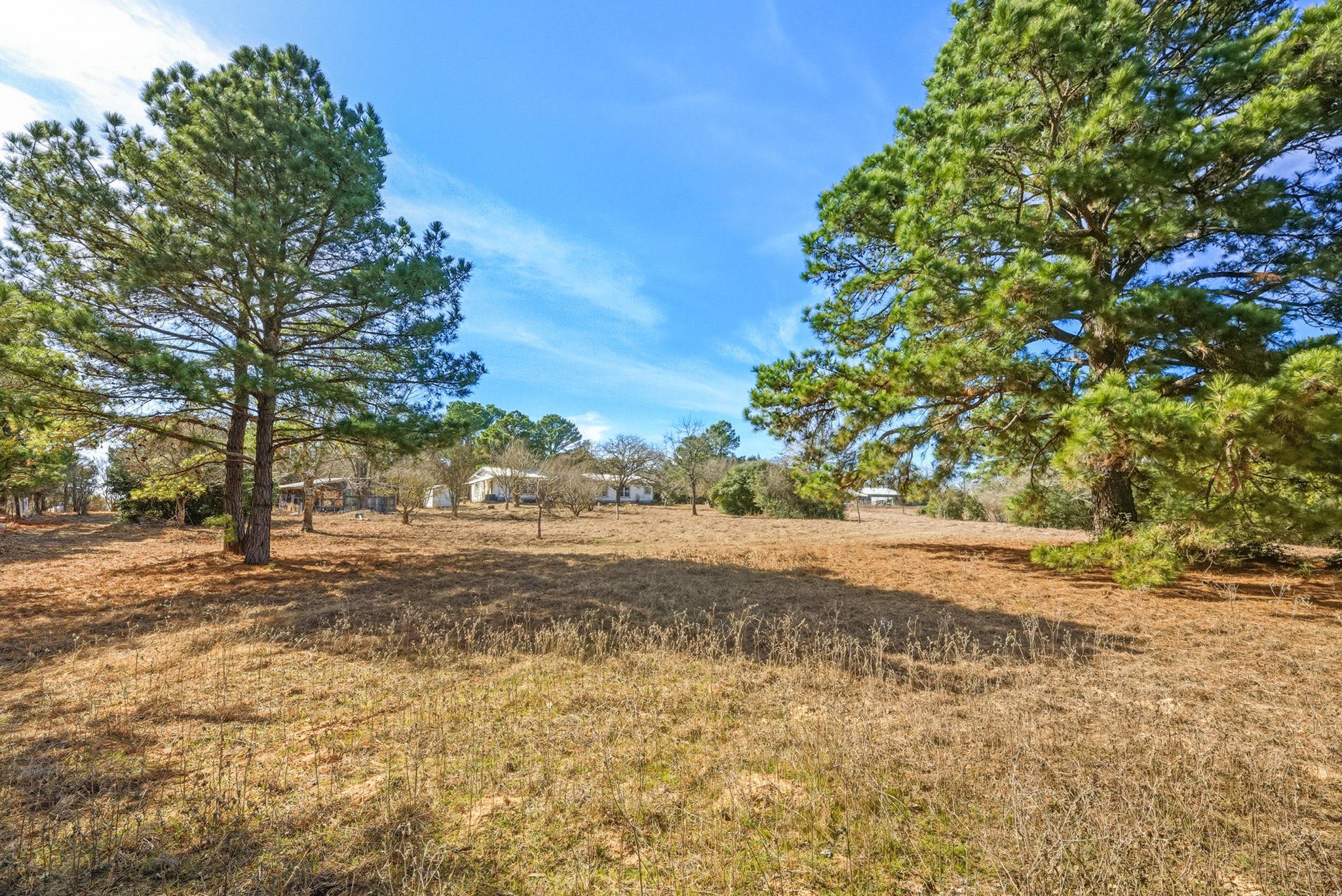 171 Mustang Drive Paige TX 78659