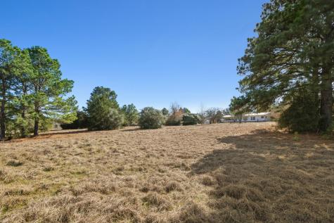 171 Mustang Drive Paige TX 78659